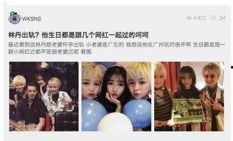 吃瓜网91爆料 网红黑料在线 明星小说,明星小说背后的真实故事